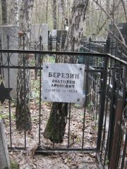 Березин Анатолий Аронович, Москва, Востряковское кладбище