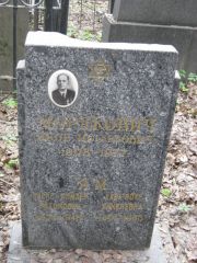 Мордкович Яков Иосифович, Москва, Востряковское кладбище