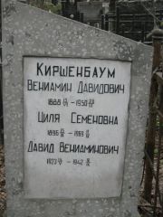 Киршенбаум Вениамин Давидович, Москва, Востряковское кладбище