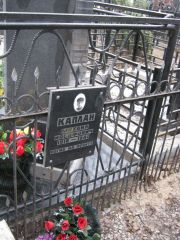 Каплан Михаил Иосифович, Москва, Востряковское кладбище