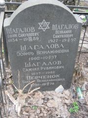 Шагалов Ефим Самуилович, Москва, Востряковское кладбище