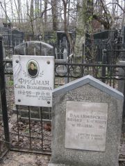 Фридман Сара Вольковна, Москва, Востряковское кладбище