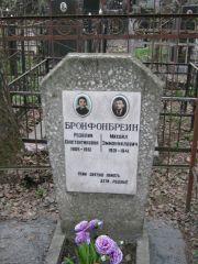Бронфонбреин Розалия Константиновна, Москва, Востряковское кладбище