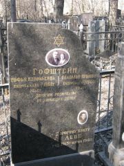 Гофштейн Софья Израилевна, Москва, Востряковское кладбище