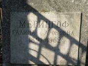 Мерингоф Галина Ароновна, Москва, Востряковское кладбище