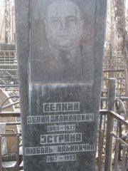 Белкин Зелик Залманович, Москва, Востряковское кладбище