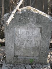 Ципова Софья Калмановна, Москва, Востряковское кладбище
