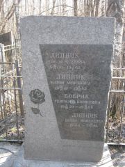 Липник Роза Моисеевна, Москва, Востряковское кладбище