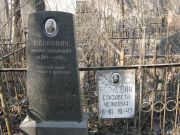 Беркович Иосиф Абрамович, Москва, Востряковское кладбище