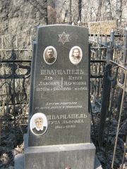 Шварцапель Гута Львовна, Москва, Востряковское кладбище
