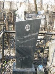 Шахновский Илюшенька , Москва, Востряковское кладбище