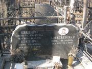 Шапиро Дебора Израилевна, Москва, Востряковское кладбище
