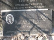 Каплун Ц. Д., Москва, Востряковское кладбище