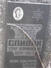 Спивак Хана Израилевна, Москва, Востряковское кладбище