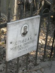 Спивак Моисей Овсеевич, Москва, Востряковское кладбище
