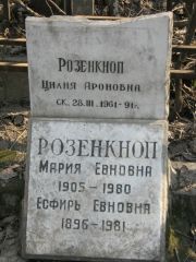 Розенкноп Цилия Ароновна, Москва, Востряковское кладбище