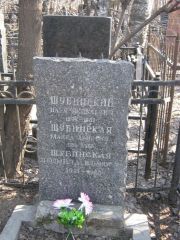 Шубинский Илья Яковлевич, Москва, Востряковское кладбище