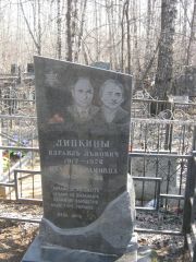 Липкина Ита Абрамовна, Москва, Востряковское кладбище