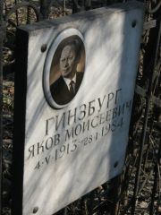Гинзбург Яков Моисеевич, Москва, Востряковское кладбище