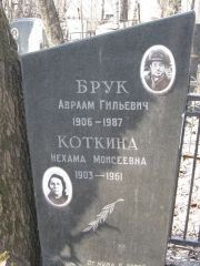 Коткина Нехама Моисеевна, Москва, Востряковское кладбище