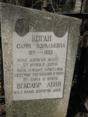 Коган Сарра Изральевна, Москва, Востряковское кладбище
