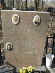 Зальцберг Давид Менделеевич, Москва, Востряковское кладбище