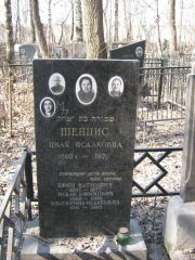 Шенцис Циля Исааковна, Москва, Востряковское кладбище