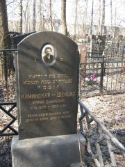Каминская-Шенцис Мария Ефимовна, Москва, Востряковское кладбище