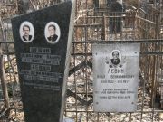 Левин Вениамин Ильич, Москва, Востряковское кладбище