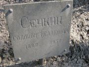 Сечкин Соломон Исаакович, Москва, Востряковское кладбище