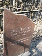 Лейдерман Яков Герцевич, Москва, Востряковское кладбище