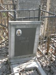 Левин Ш. Г., Москва, Востряковское кладбище