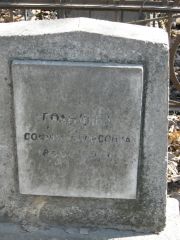 Гольдина Софья Борисовна, Москва, Востряковское кладбище
