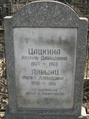 Цацкина Рахиль Давыдовна, Москва, Востряковское кладбище