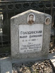 Голодинский Майор Давидович, Москва, Востряковское кладбище