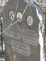 Сукеник Гита Давидовна, Москва, Востряковское кладбище