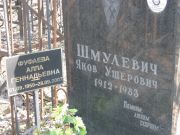 Шмулевич Яков Ушерович, Москва, Востряковское кладбище