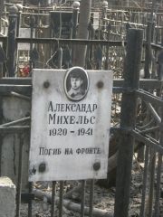 Михельс Александр , Москва, Востряковское кладбище