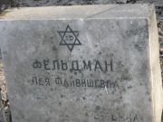 Фельдман Лея Файвишевна, Москва, Востряковское кладбище