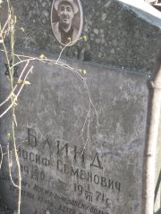 Блинд Иосиф Семенович, Москва, Востряковское кладбище
