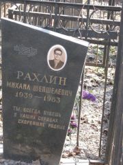 Рахлин Михаил Шепшелевич, Москва, Востряковское кладбище