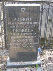Ривкина Дарья Абрамовна, Москва, Востряковское кладбище