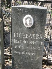 Шевелева Циля Иосифовна, Москва, Востряковское кладбище