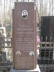 Фанштейн Моисей Леонтьевич, Москва, Востряковское кладбище