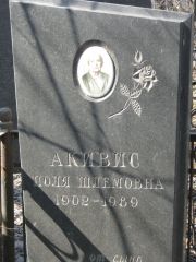 Акивис Поля Шлемовна, Москва, Востряковское кладбище
