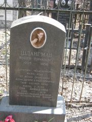 Шлангман Моисей Израилевич, Москва, Востряковское кладбище
