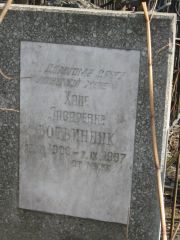 Ботвинник Хана Лазаревна, Москва, Востряковское кладбище