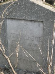 Гитльзон Гитль Зунделевна, Москва, Востряковское кладбище
