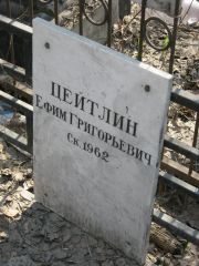Цейтлин Ефим Григорьевич, Москва, Востряковское кладбище