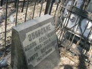 Збарский Исаак Семенович, Москва, Востряковское кладбище